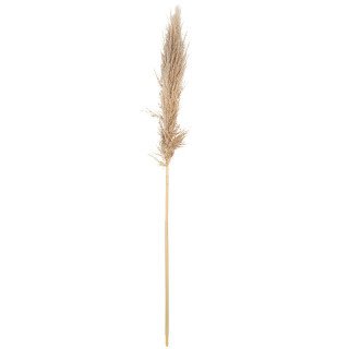 Pampa Garnie beige 120CM