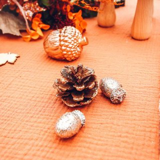 Assortiment 15pcs glands et pommes de pin paillettes champagne