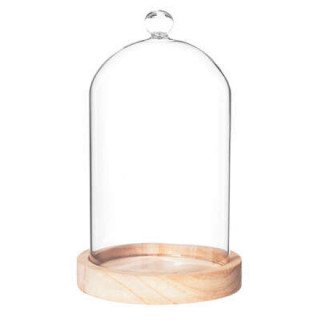 Cloche verre socle naturel h19, beige