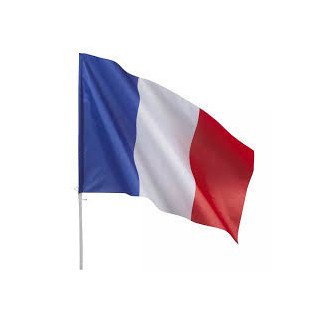 Drapeau France 60 x 90 cm, avec tige en plastique de 1m