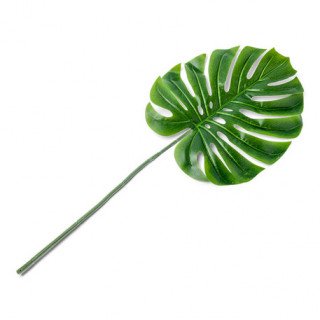 Tige Feuille tropicale...