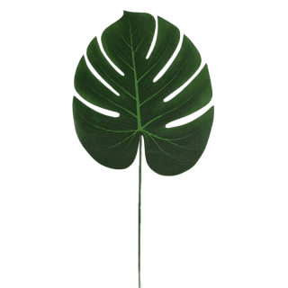Tige Feuille tropicale 34X28cm