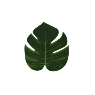Petite feuille tropicale verte, 14.5cmX12cm