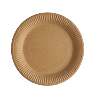 10 assiettes ronde kraft 23cm