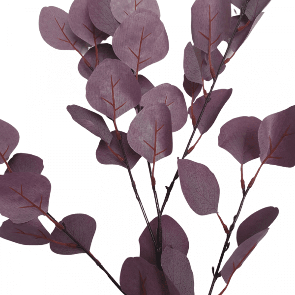 Branche d'eucalyptus artificielle... Branche d'eucalyptus artificielle...