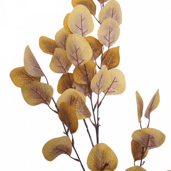 Branche d'eucalyptus artificielle...