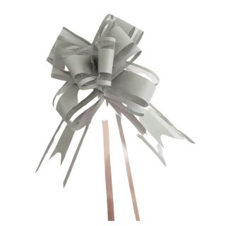 10 Noeuds automatique gris argent