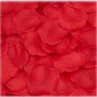Pétales de roses mariage rouge (sachet de 50)
