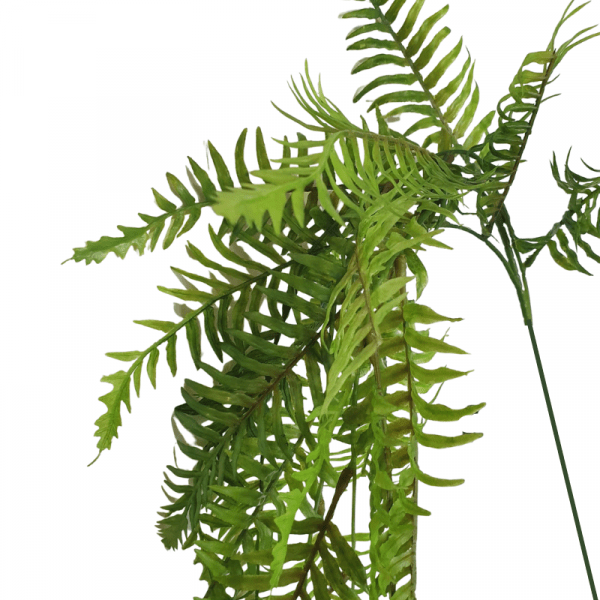 Branche de fougères souple décorative...