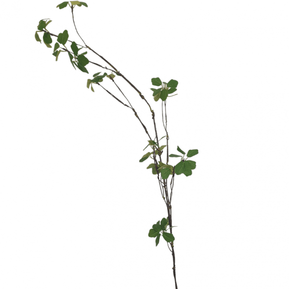 Branche de feuillage décoratif artificielle