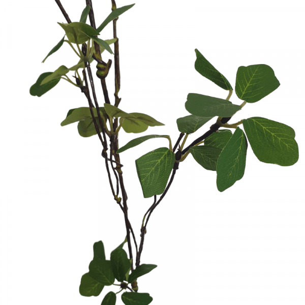 Branche de feuillage décoratif...