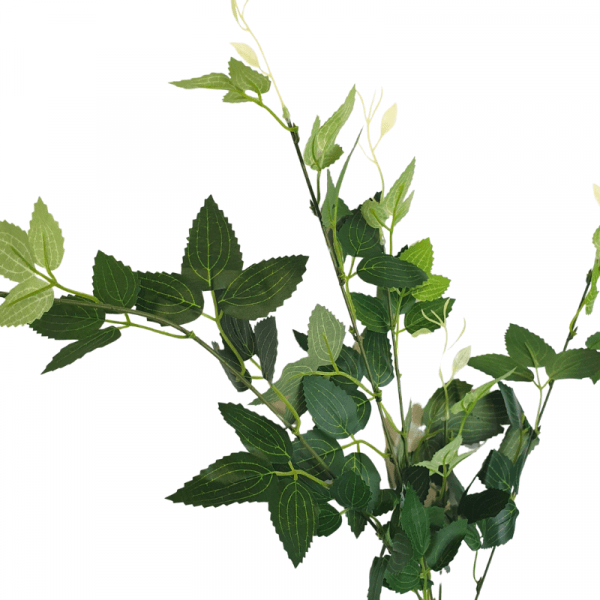 Chute de feuillages décoratifs...