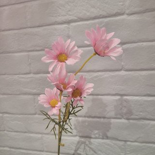 Bouquet de marguerites...