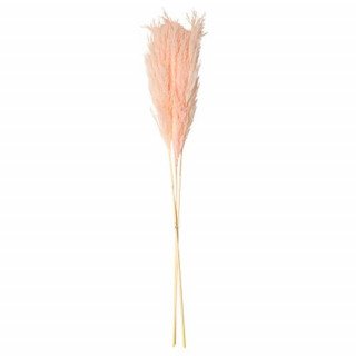3 Branches de Pampa Rose, 80cm