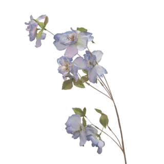 Branche fleurs...
