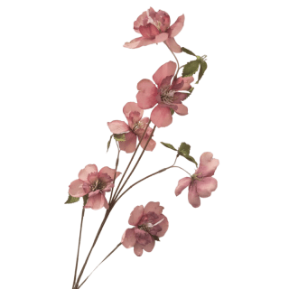 Branche fleurs...