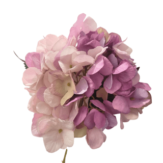 Tige d'hortensia...