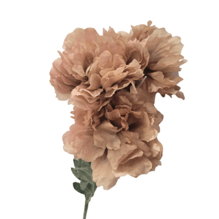 Tige 3 pivoines Vieux Rose