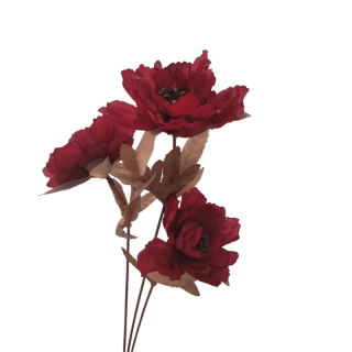 Tige 3 têtes coquelicot...