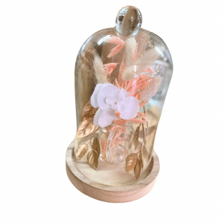 Cloche en verre sur socle...
