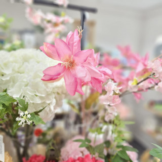 Tige d Amaryllis...