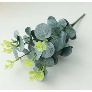 Bouquet de 7 tiges d'Eucalyptus Verte- H33.5cm