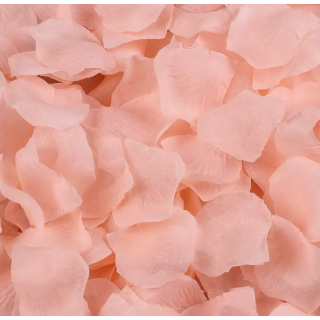 Sachet de 100 pétales Blush