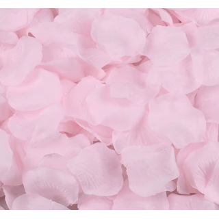 Sachet de 100 pétales rose...