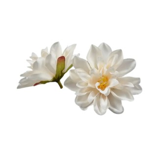 Fleur Dahlia Blush