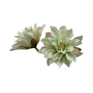 Fleur Dahlia vert sauge