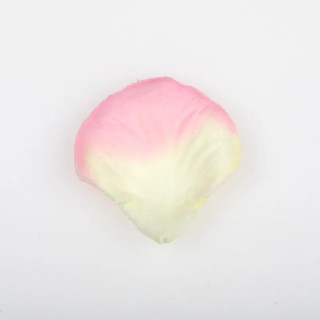 Pétales de roses...