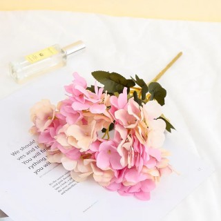 Branches hortensia Rose