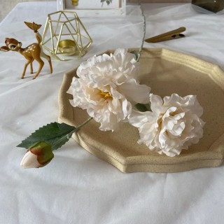 Tige 3 pivoines...