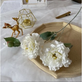 Tige 3 pivoines...