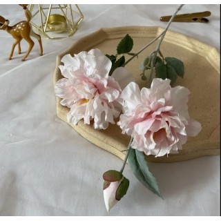 Tige 3 pivoines...