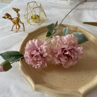 Tige 3 pivoines...