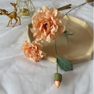 Tige 3 pivoines...
