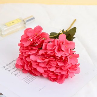 Branches hortensia rouge...