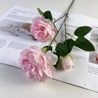 Tige renoncule rose avec...