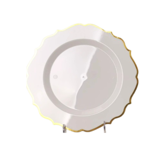 6 assiettes REUTILISABLE...