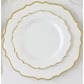 6 assiettes REUTILISABLE...