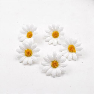 10 Marguerites Blanches et...