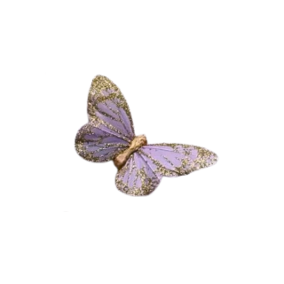 Papillon plume parme et...
