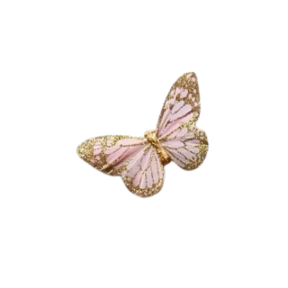 Papillon plume rose et...