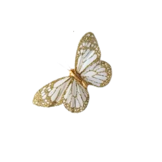 Papillon plume blanc et...