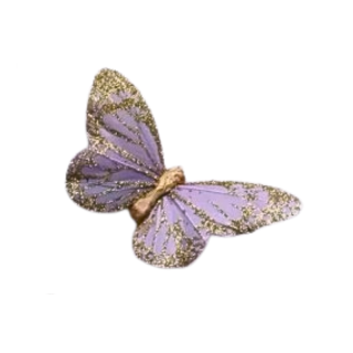 Papillon plume parme et...