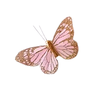 Papillon plume rose et...