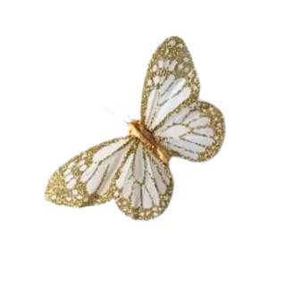 Papillon plume blanc et...