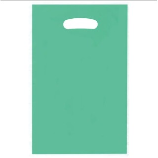 Sachets cadeaux vert X10
