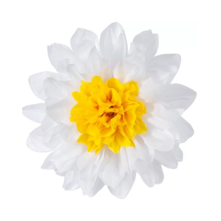 Marguerite en papier de...